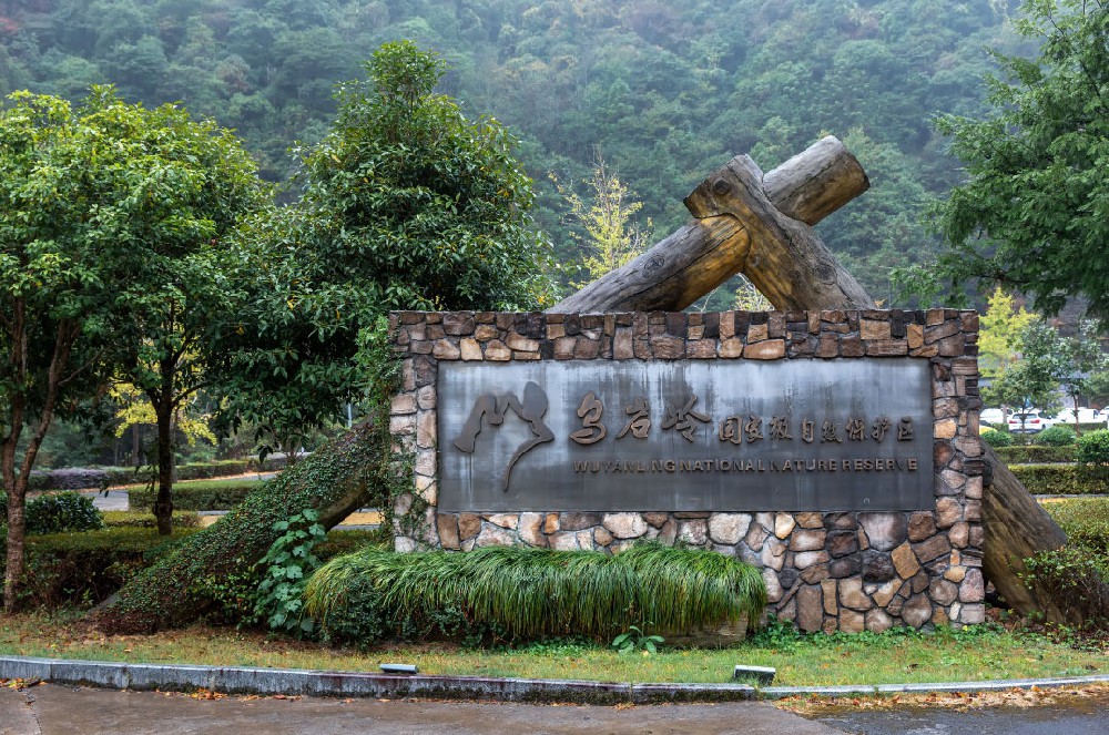 乌岩岭自然保护区