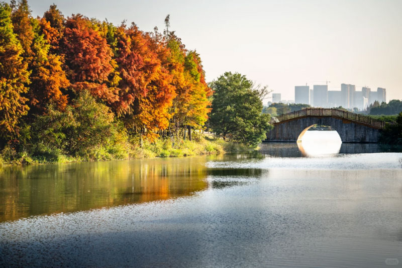 温州「冬日皮肤」上新，限定色号「#杉林红」来了！