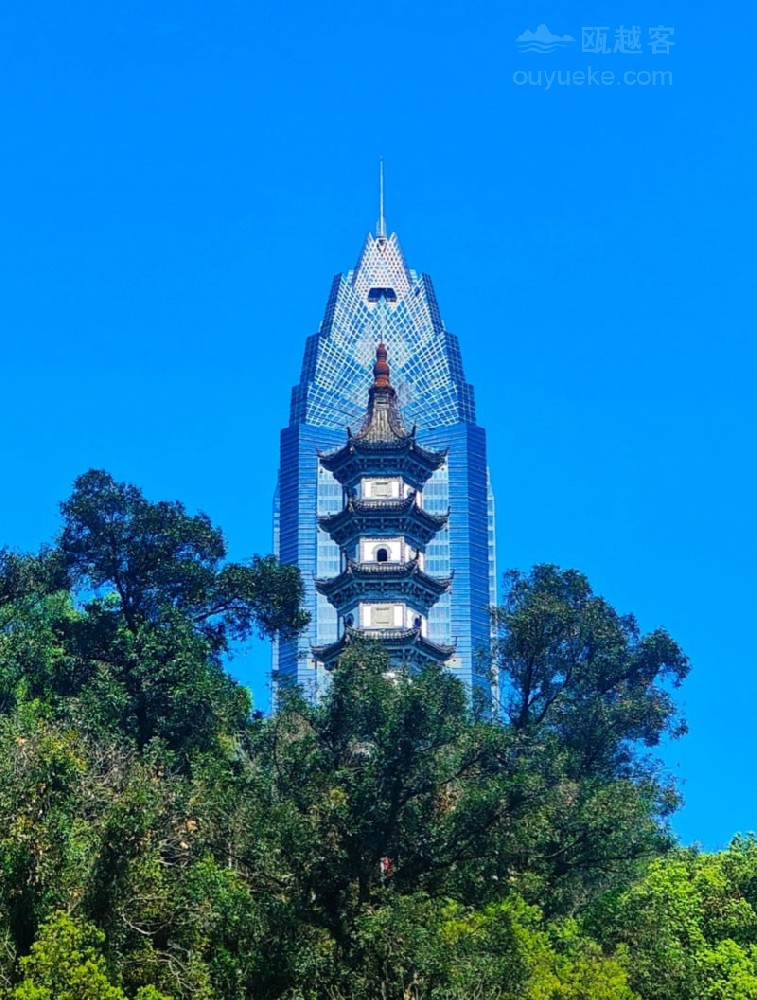 全网曝光量超千万 温州“趣拍点”引燃“千年斗城”打卡热